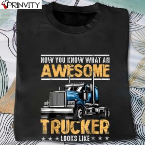 Awesome Trucker Semi Truck Driver T-Shirt, Unisex Hoodie, Sweatshirt, Long Sleeve, Tank Top